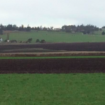 Agricultural land, Ebey's Landing National Historical Reserve