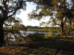 South Carolina low country landscape