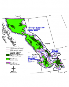 Credit: Yellowstone to Yukon Conservation Initiative