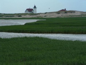 Fishing at Cape Cod National Seashore - Cape Cod National Seashore (U.S.  National Park Service)