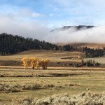 Lamar Valley Yellowstone National Park