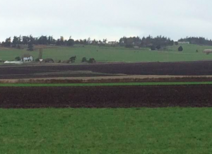 Agricultural land, Ebey's Landing National Historical Reserve